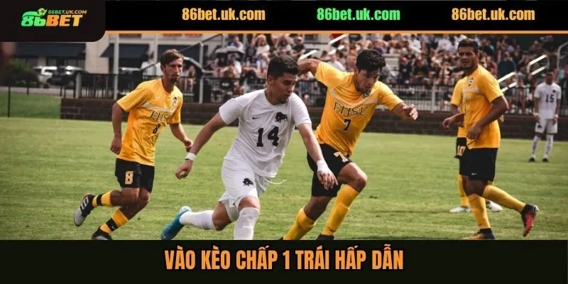 Cách Vào Kèo Châu Á Đảm Bảo Thắng Lớn Tuyệt Đối 100% 3 Vào kèo chấp 1 trái hấp dẫn